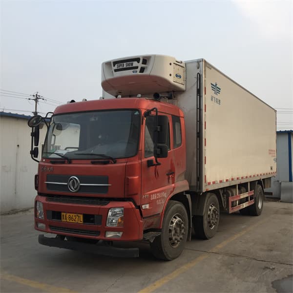 rooftop mounted truck freezer unit cold chain